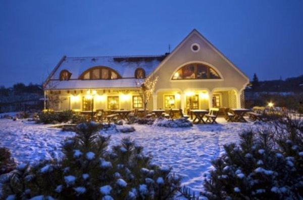 Koczor Winery & Guesthouse バラトンフレド エクステリア 写真