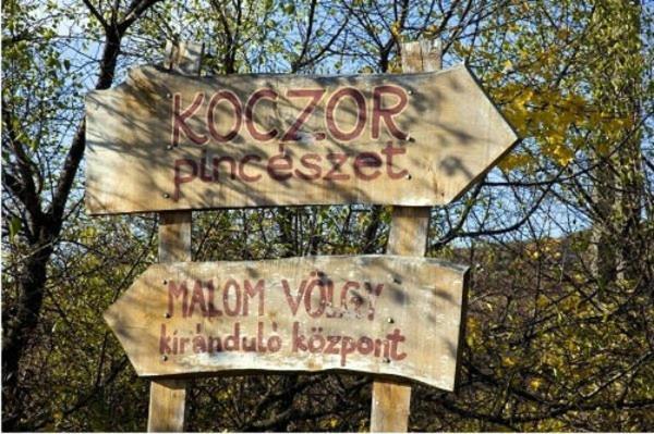 Koczor Winery & Guesthouse バラトンフレド エクステリア 写真