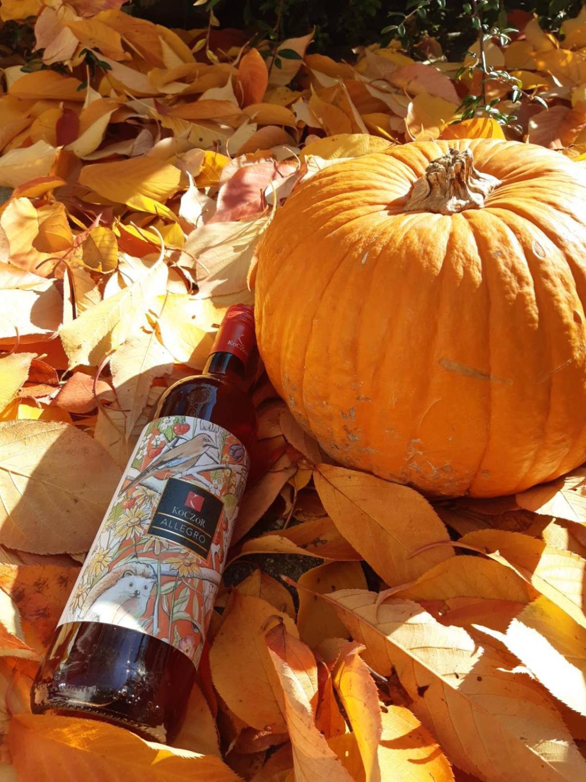 Koczor Winery & Guesthouse バラトンフレド エクステリア 写真