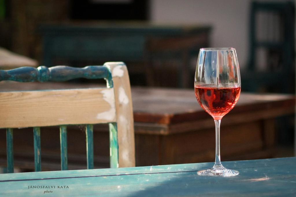 Koczor Winery & Guesthouse バラトンフレド エクステリア 写真