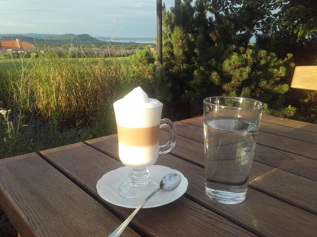 Koczor Winery & Guesthouse バラトンフレド エクステリア 写真