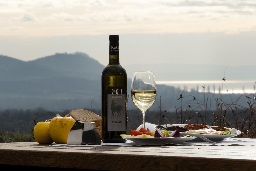 Koczor Winery & Guesthouse バラトンフレド エクステリア 写真