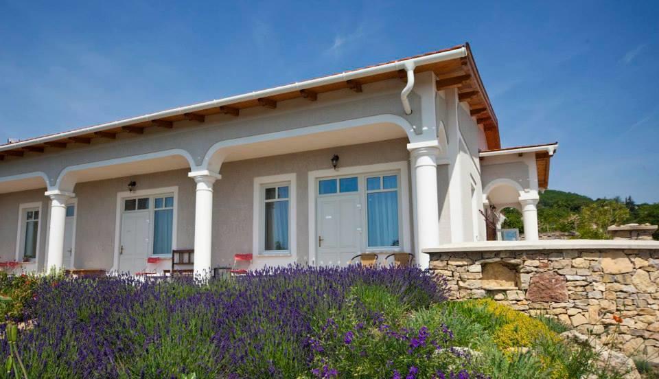 Koczor Winery & Guesthouse バラトンフレド エクステリア 写真