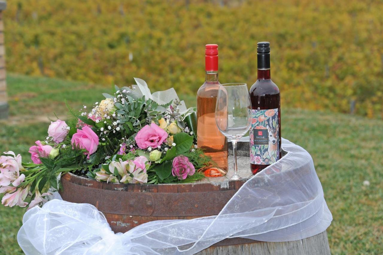 Koczor Winery & Guesthouse バラトンフレド エクステリア 写真