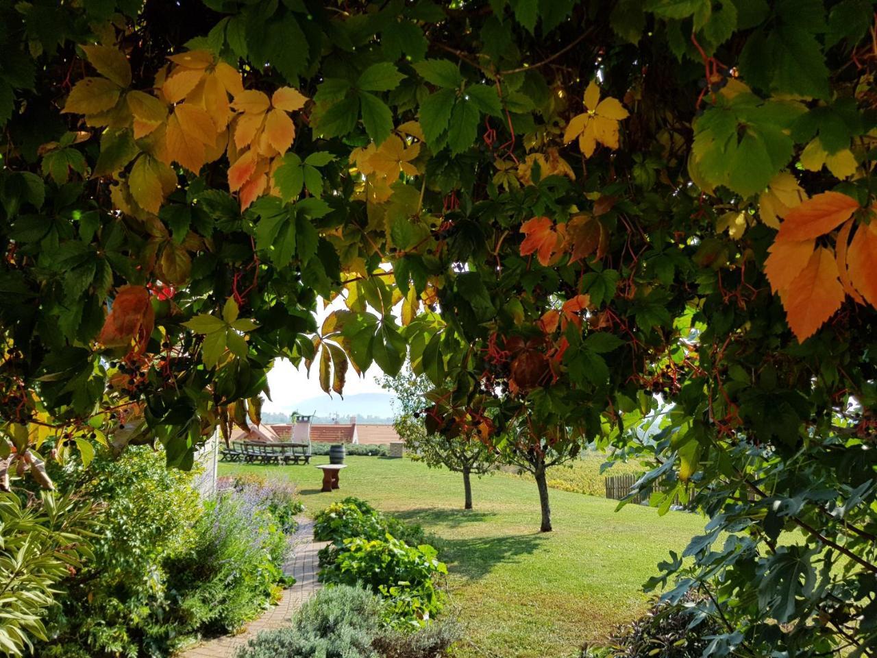 Koczor Winery & Guesthouse バラトンフレド エクステリア 写真