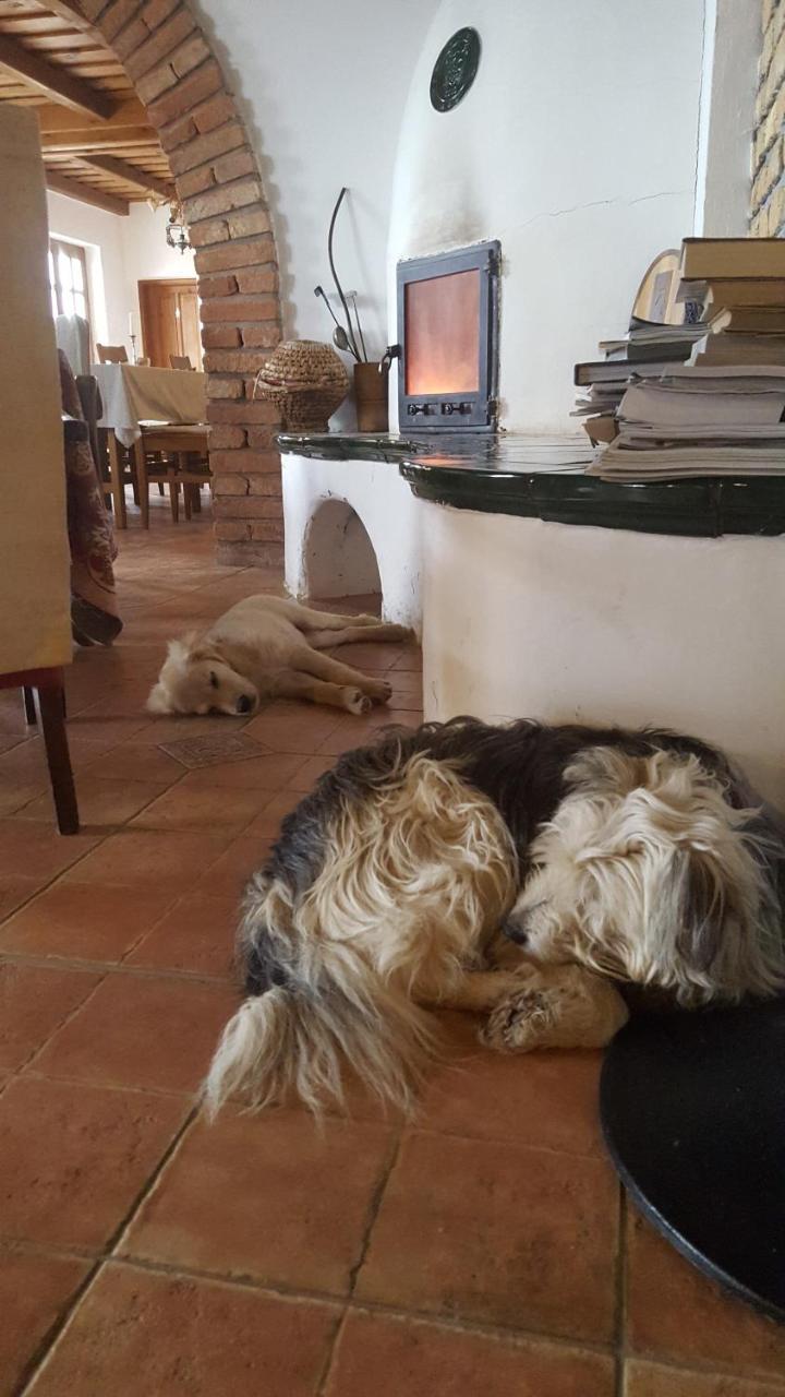 Koczor Winery & Guesthouse バラトンフレド エクステリア 写真