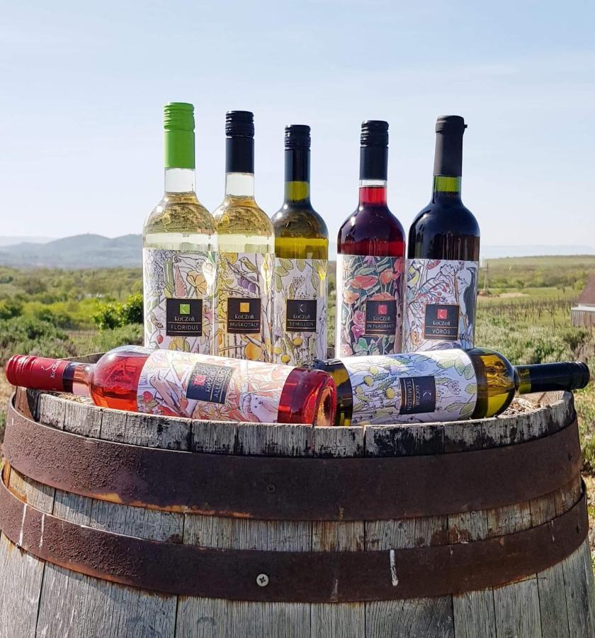 Koczor Winery & Guesthouse バラトンフレド エクステリア 写真