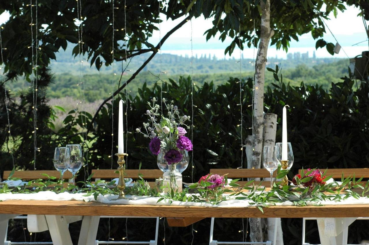 Koczor Winery & Guesthouse バラトンフレド エクステリア 写真