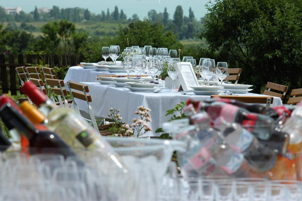 Koczor Winery & Guesthouse バラトンフレド エクステリア 写真
